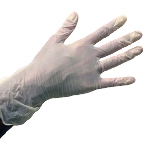 Vinyl Gloves - Powder Free